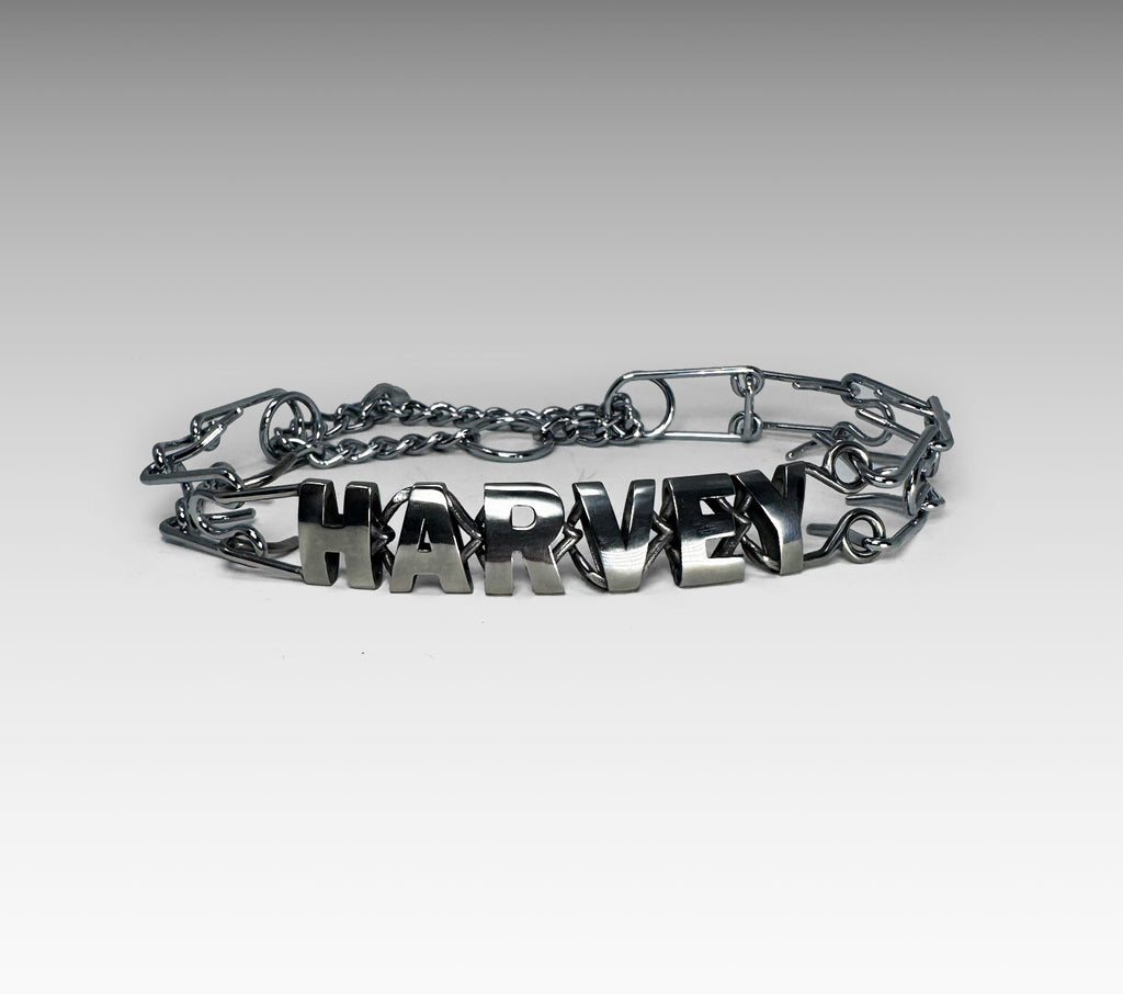 Personalized Prong Collars