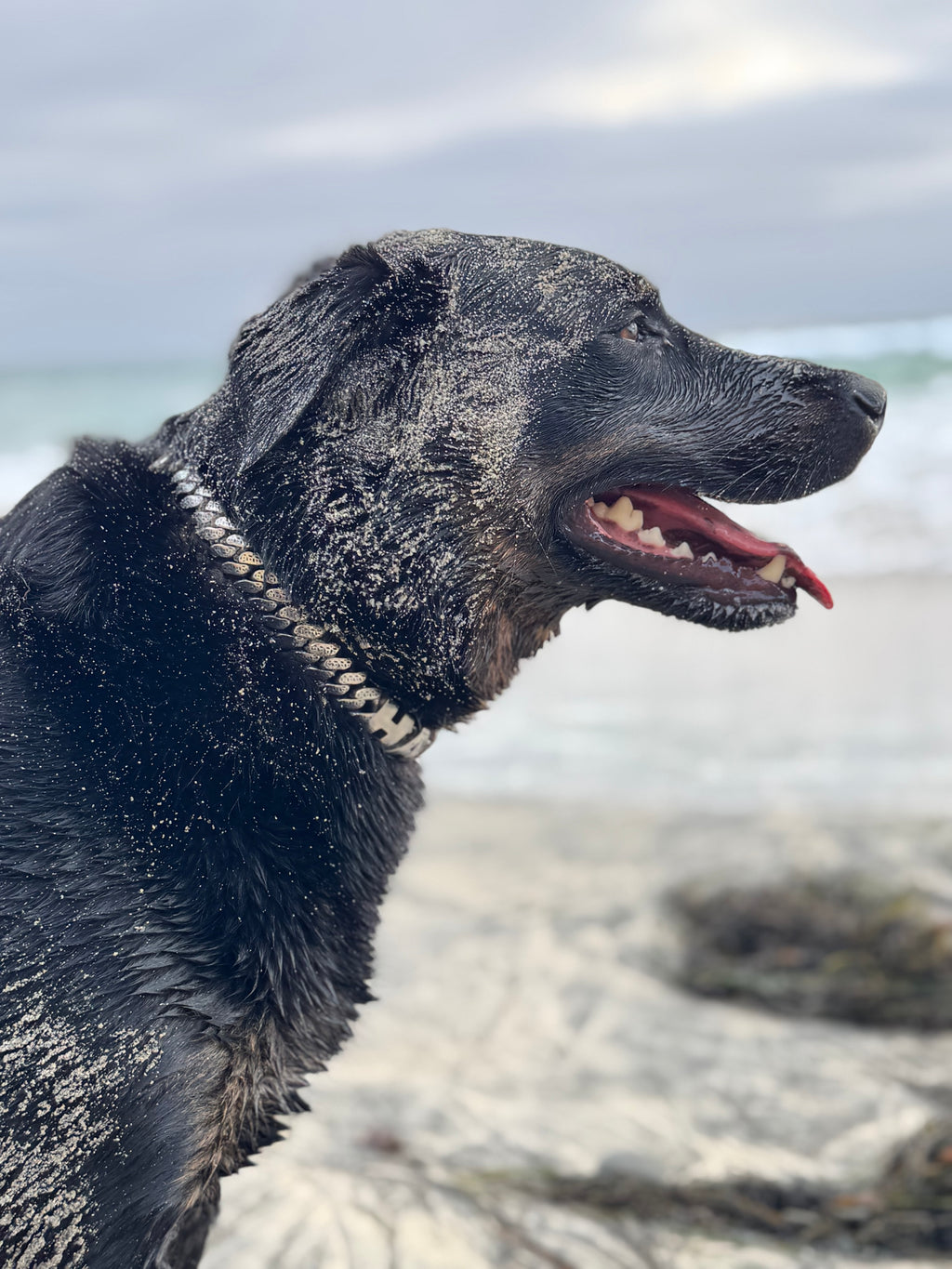 Personalized Latticed Cuban Link