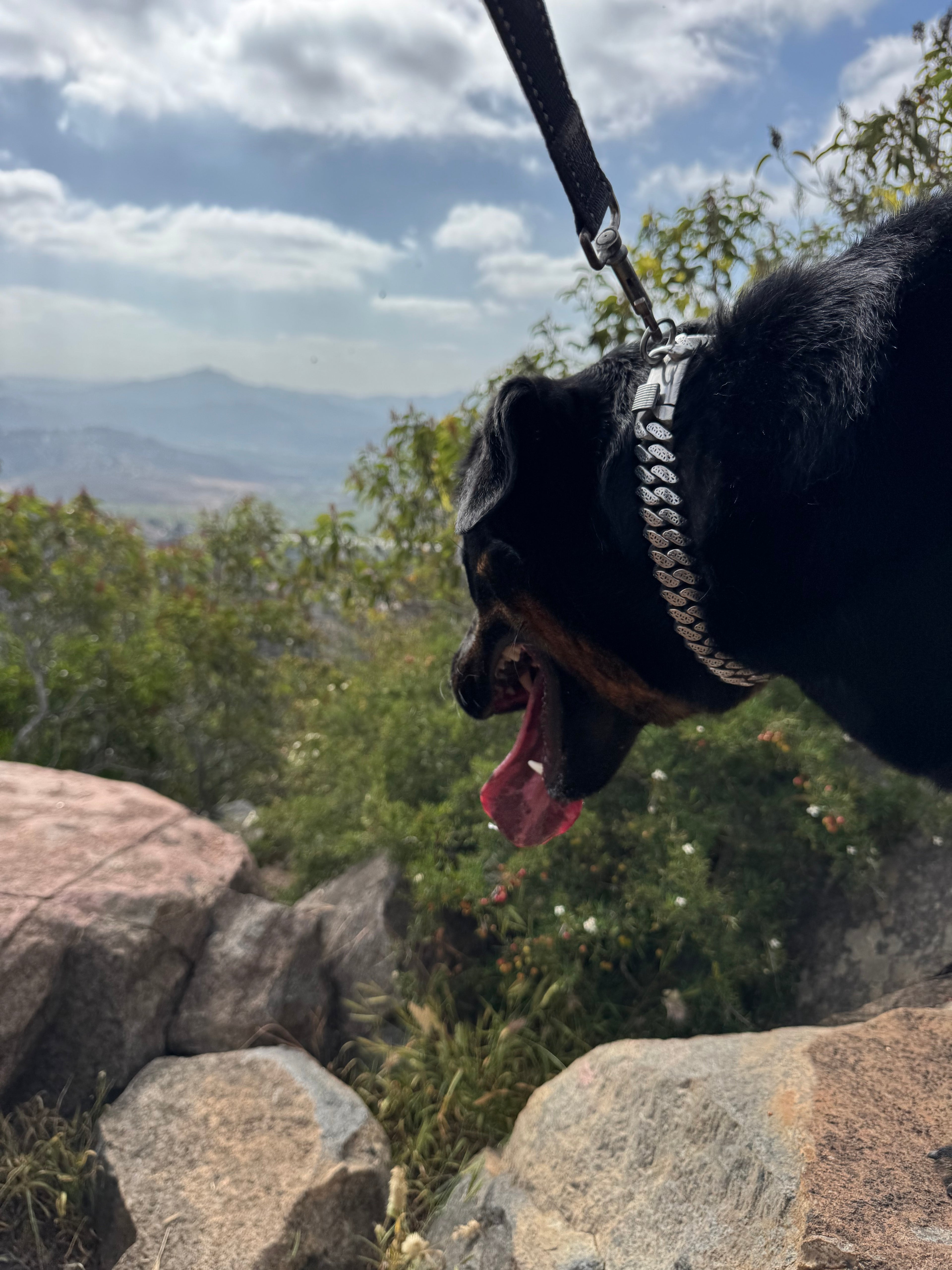 Personalized Latticed Cuban Link